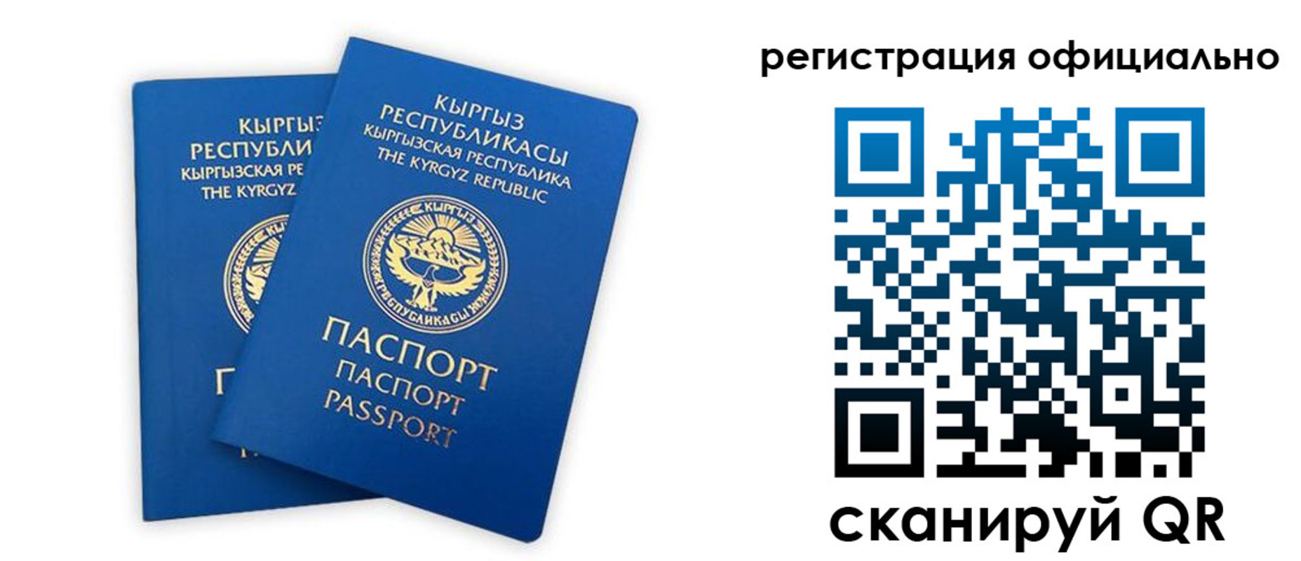 прописка поиск в Мурманске